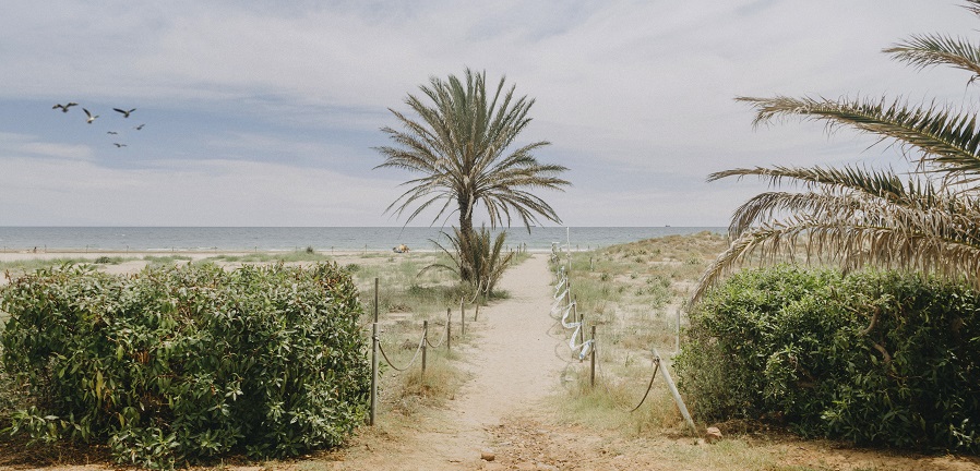 Castelló novela e historia frente al mar